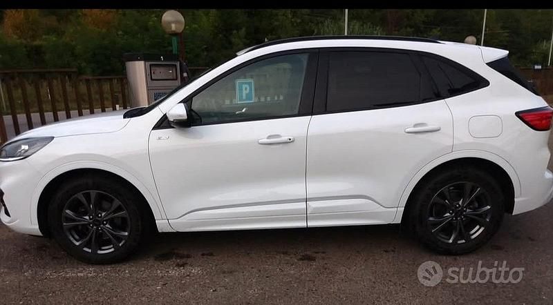 Usata Ford Kuga 150 CV (110 kW) 2023 Bianco SUV