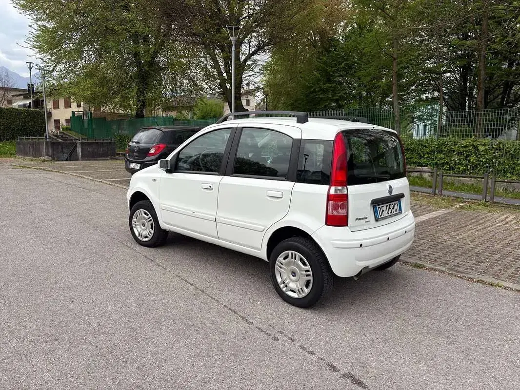 Usata Fiat Panda 4x4 60 CV (44 kW) 2007 Bianco Utilitaria