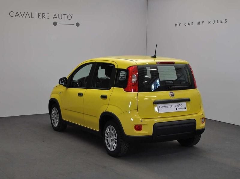 Nuova Fiat Panda Pop 69 CV (50 kW) 2025 Giallo Utilitaria