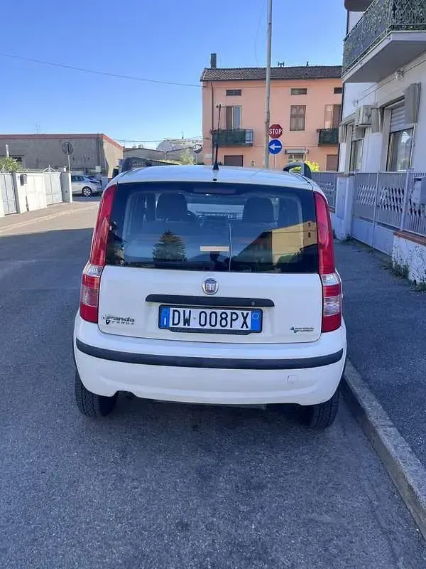 Usata Fiat Panda Dynamic 77 CV (56 kW) 2009 Bianco Utilitaria