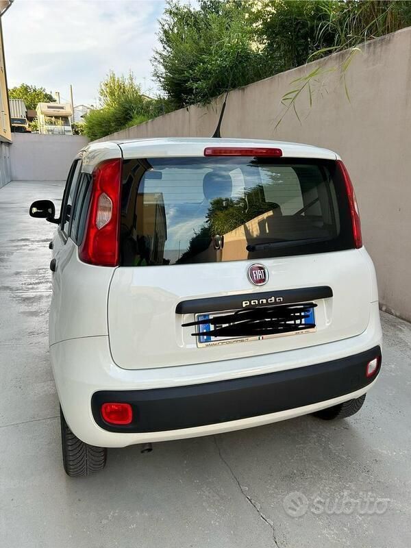 Usata Fiat Panda 2019 Bianco Utilitaria