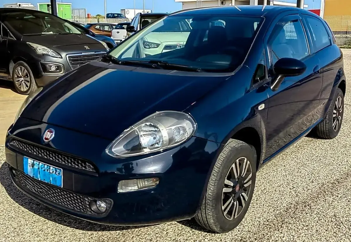 Usata Fiat Punto Evo 77 CV (56 kW) 2016 Blu Utilitaria