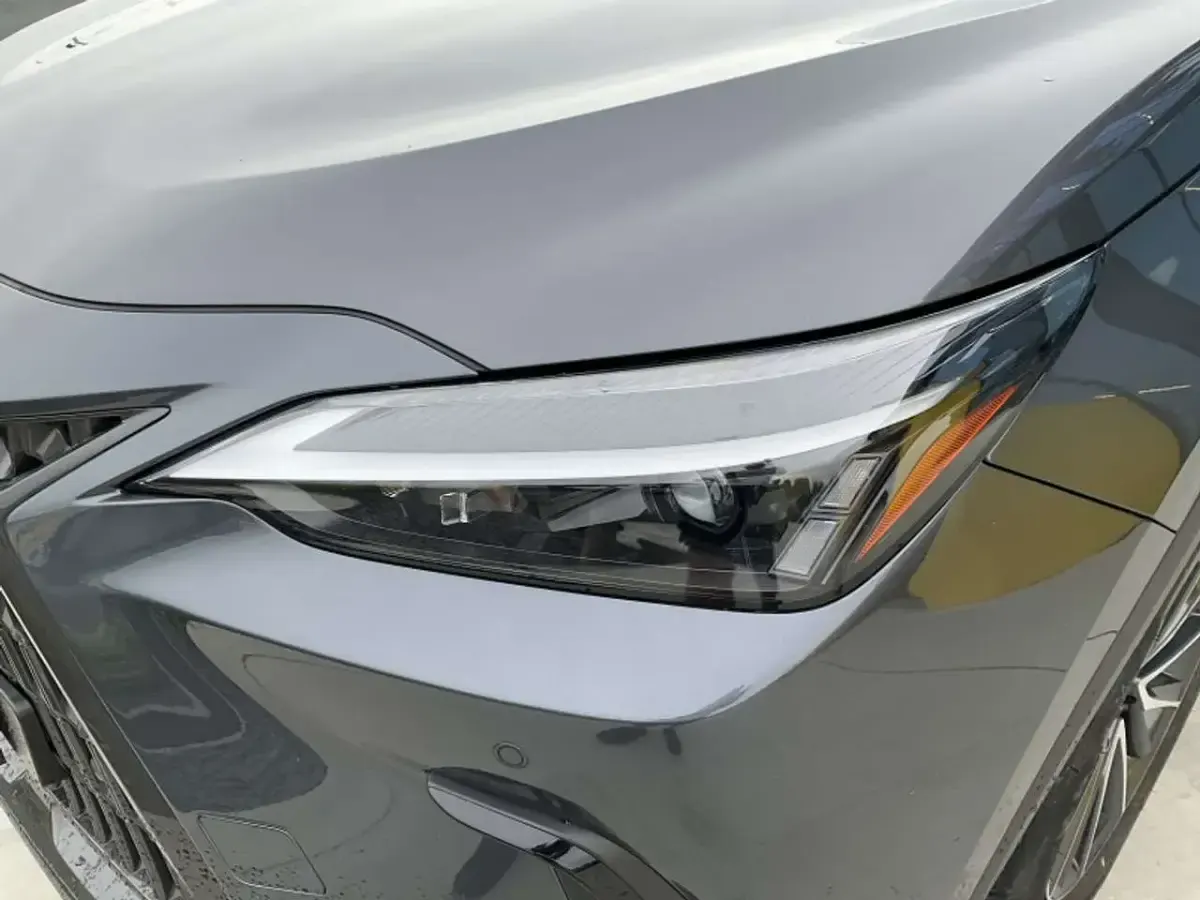 Usata Lexus NX450h+ 309 CV (227 kW) 2022 Grigio SUV