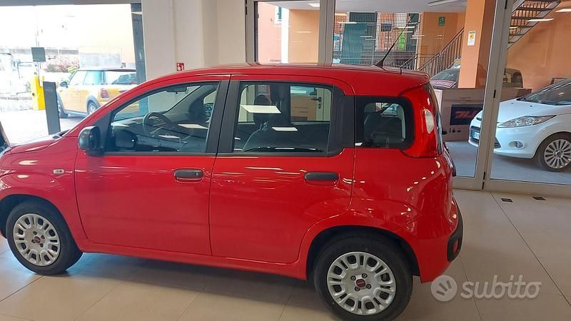 Usata Fiat Panda Easy 69 CV (50 kW) 2020 Rosso Berlina