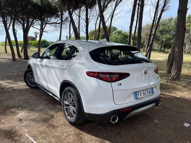Usato 2019 Alfa Romeo Stelvio 2.1 Diesel 179 CV (20.900 €)