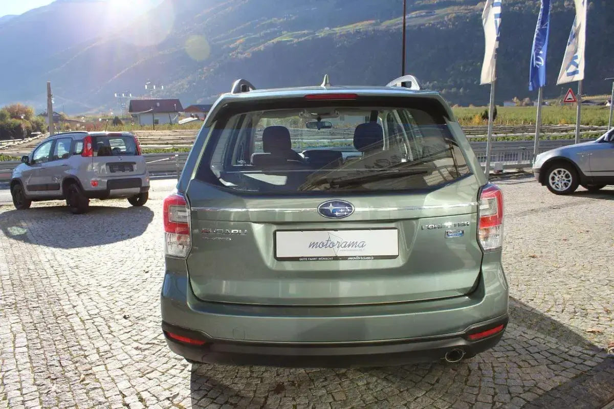 Usata Subaru Forester Style 147 CV (108 kW) 2017 Verde SUV