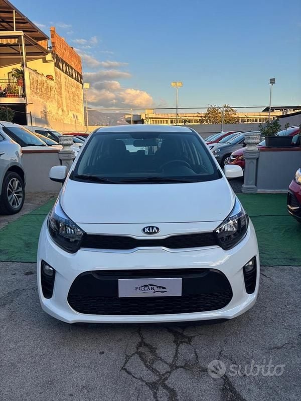 Usata Kia Picanto X-Line 66 CV (48 kW) 2019 Bianco Utilitaria