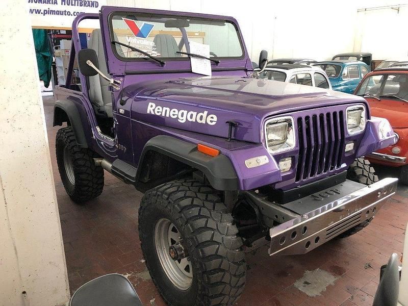 Viola Usata 1980 Jeep CJ | 22.500 € - Immagine 1/4
