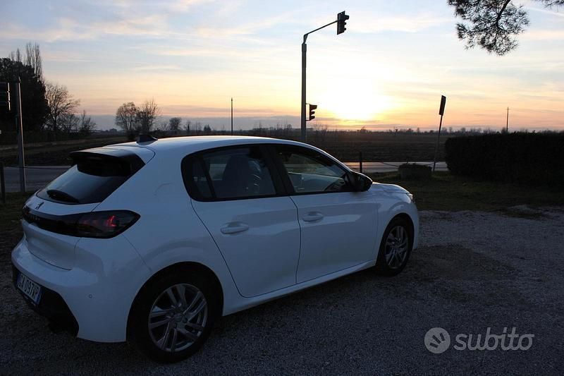 Usata Peugeot 208 Active 75 CV (55 kW) 2020 Bianco Utilitaria