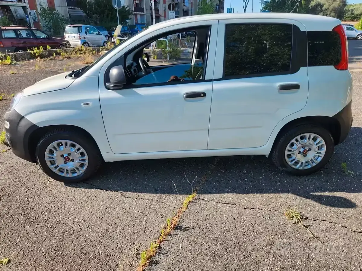 Usata Fiat Panda Easy 69 CV (50 kW) 2018 Bianco Utilitaria