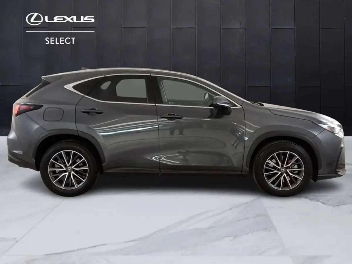 Usata Lexus NX450h+ 185 CV (136 kW) 2023 Grigio SUV
