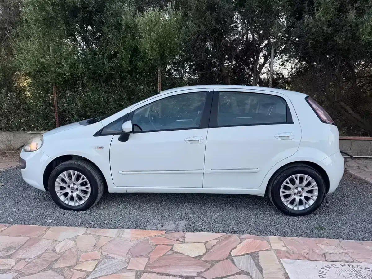 Usata Fiat Punto Evo Active 77 CV (56 kW) 2010 Bianco Utilitaria
