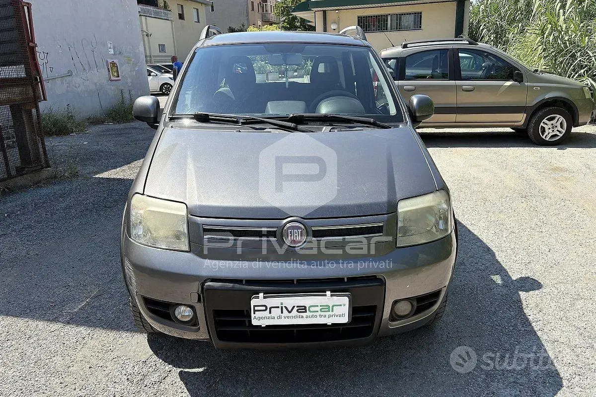 Usata Fiat Panda 4x4 Climbing 75 CV (55 kW) 2011 Grigio Utilitaria