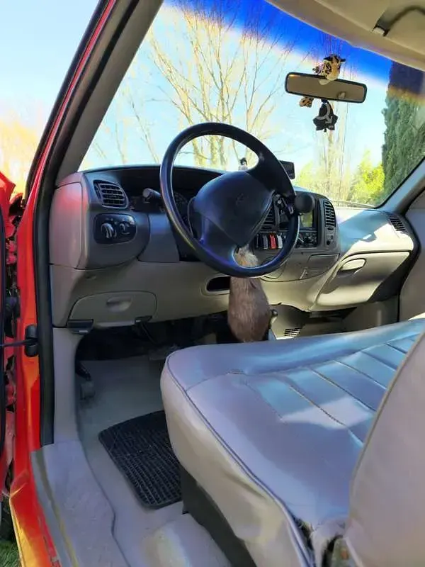 Usata Ford F-150 272 CV (200 kW) 1997 Rosso Pick-up