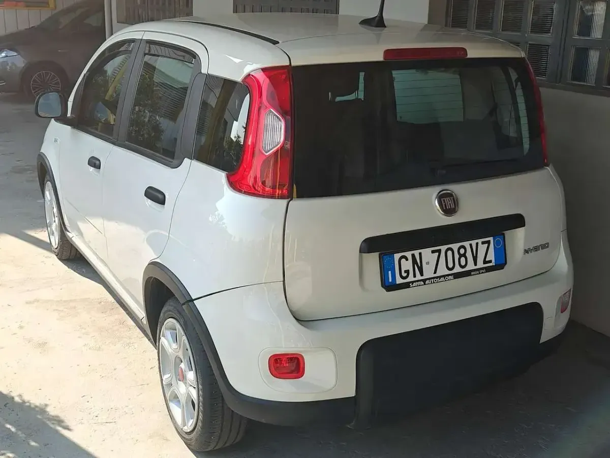 Usata Fiat Panda S 69 CV (50 kW) 2023 Bianco Utilitaria