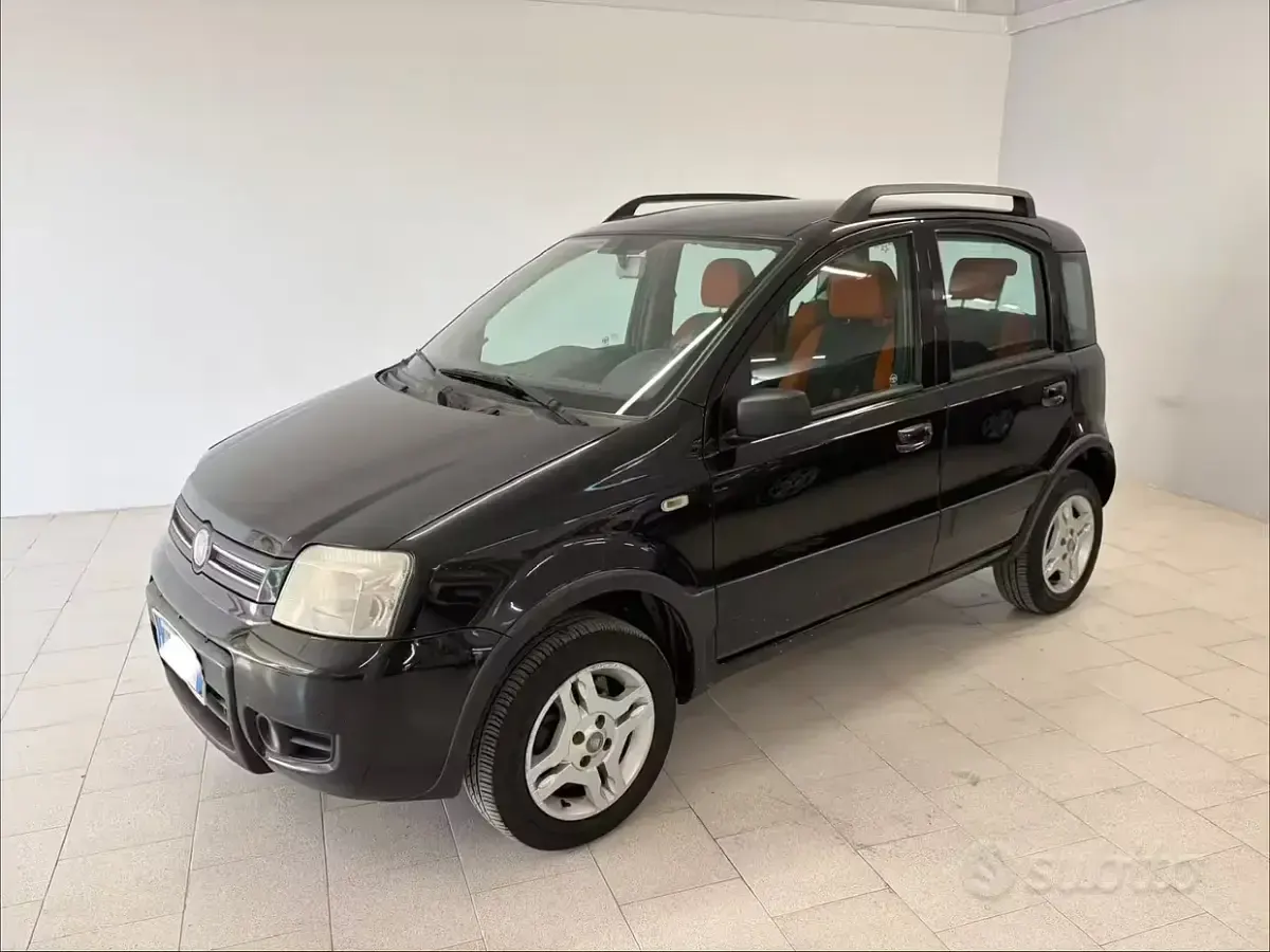 Usata Fiat Panda Climbing 60 CV (44 kW) 2009 Utilitaria