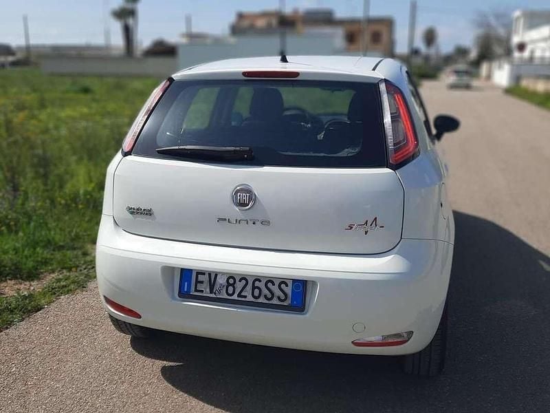 Usata Fiat Punto Evo 69 CV (50 kW) 2014 Bianco Utilitaria