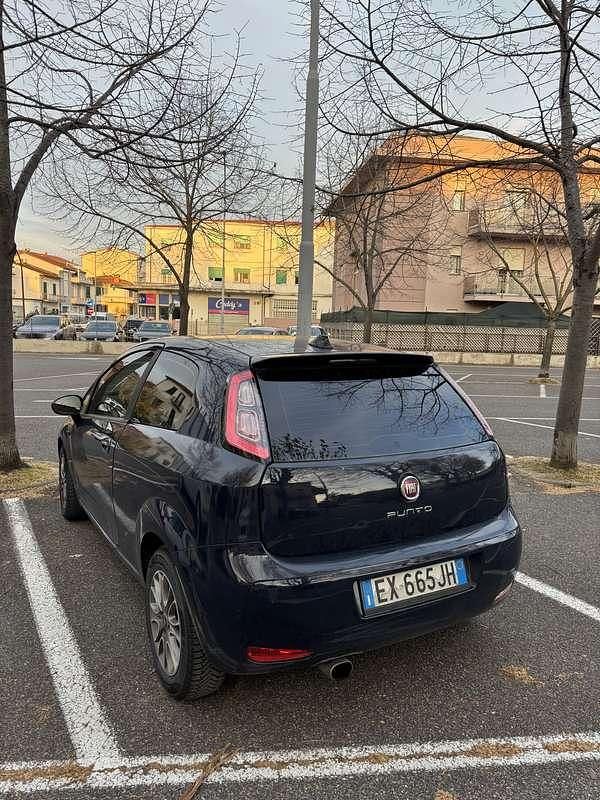 Usata Fiat Punto Evo S 75 CV (55 kW) 2014 Utilitaria