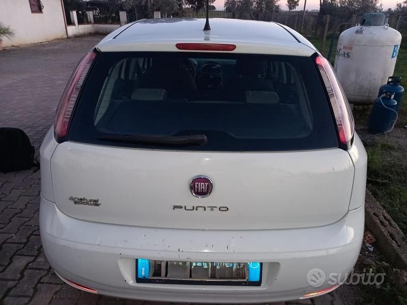 Usata Fiat Punto Evo 2012 Bianco Utilitaria