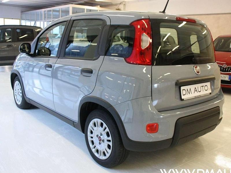 Usata Fiat Panda Easy 69 CV (50 kW) 2023 Bianco Utilitaria