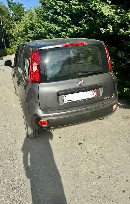 Usata Fiat Panda Easy 69 CV (50 kW) 2017 Grigio Utilitaria