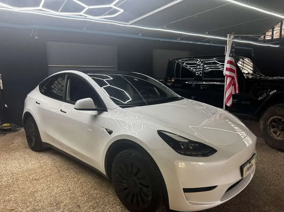 Usata Tesla Model Y RWD 255 kW (347 CV) 2024 Other SUV