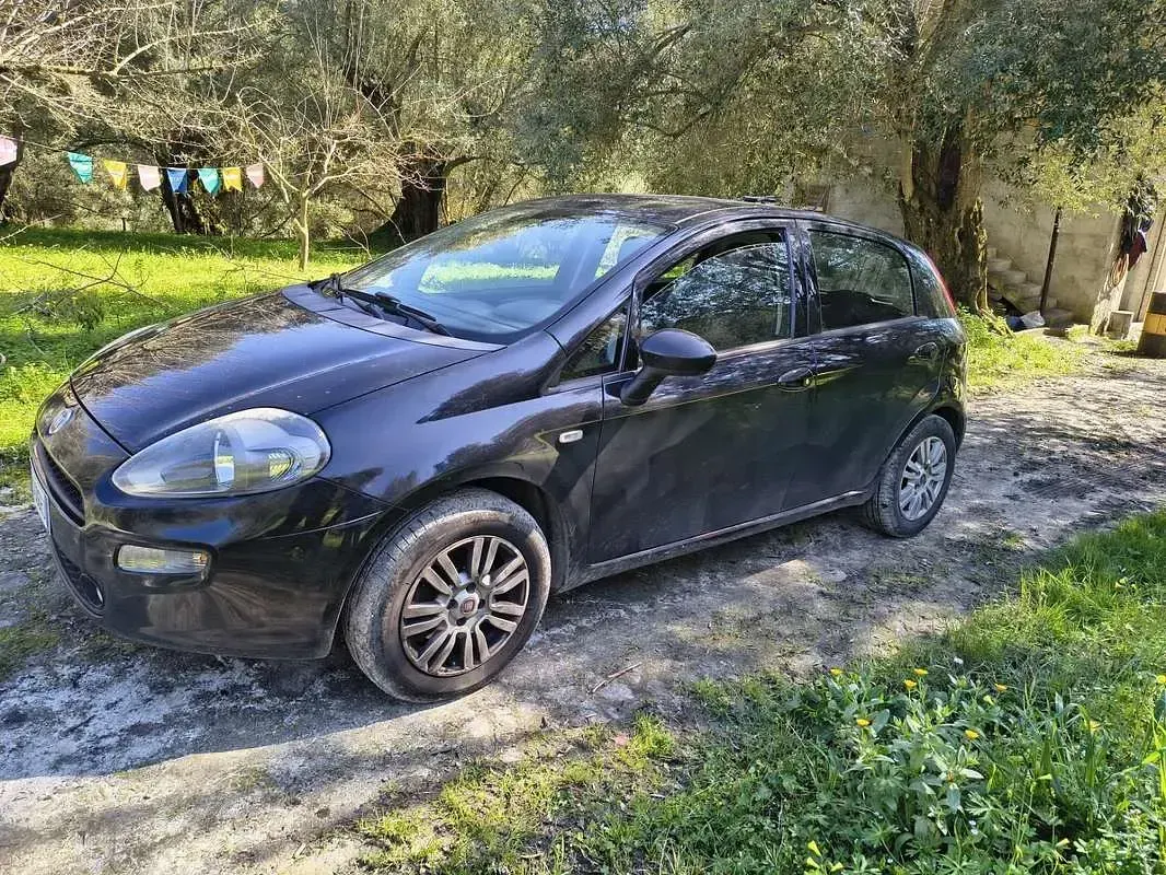 Usata Fiat Punto Lounge 95 CV (69 kW) 2016 Utilitaria