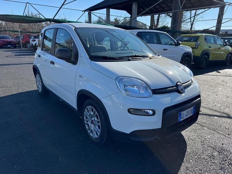 Usata Fiat Panda City Life 70 CV (51 kW) 2023 Bianco Utilitaria