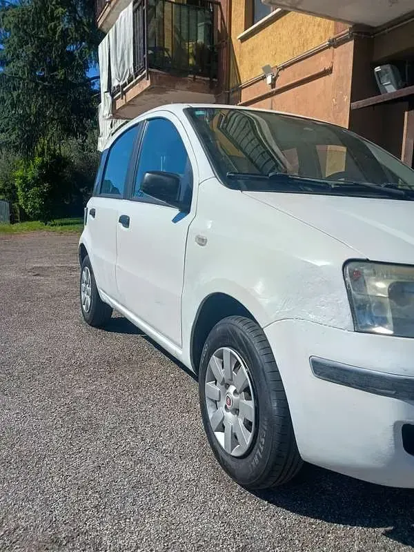 Usata Fiat Panda Active 54 CV (39 kW) 2005 Bianco Utilitaria