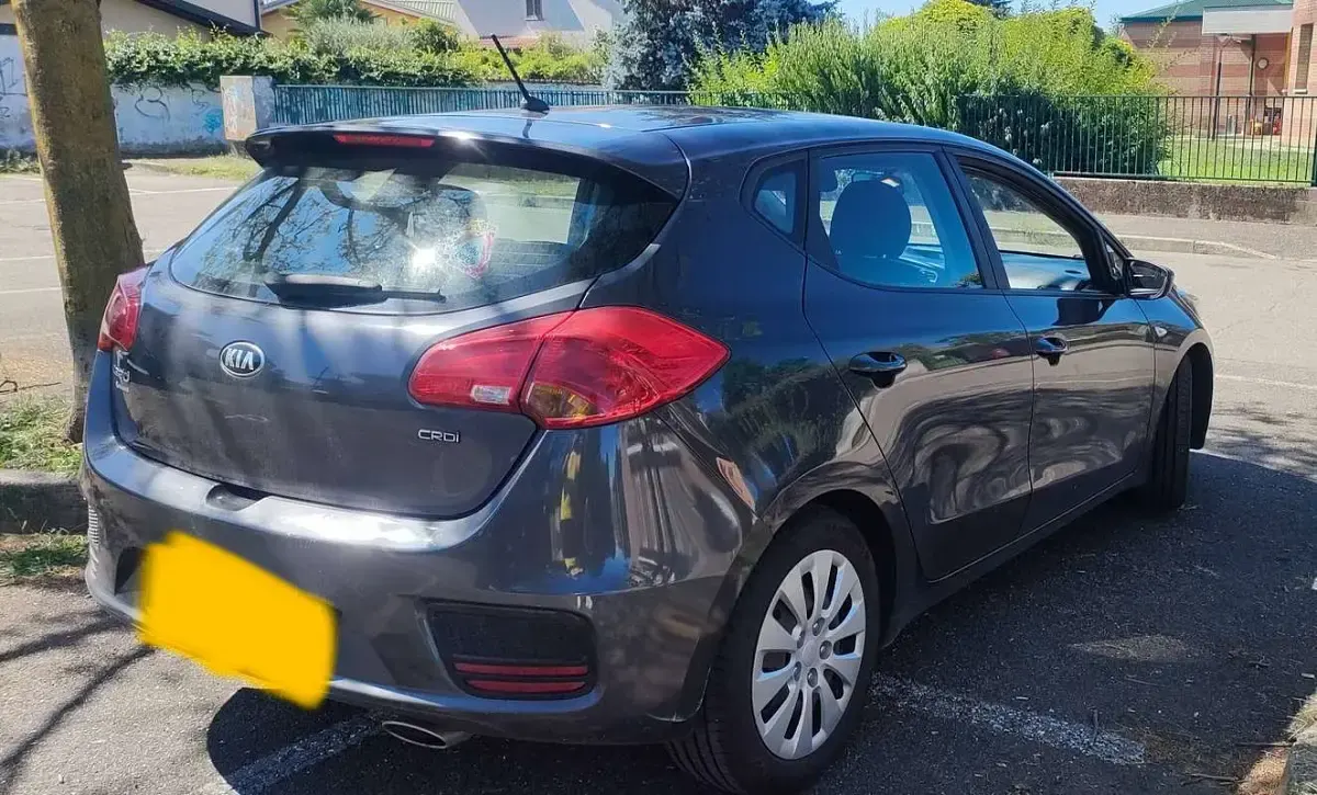 Usata Kia Ceed Active 110 CV (80 kW) 2016 Grigio Utilitaria