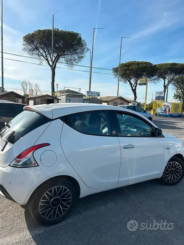 Usata Lancia Ypsilon 69 CV (50 kW) 2015 Bianco Utilitaria