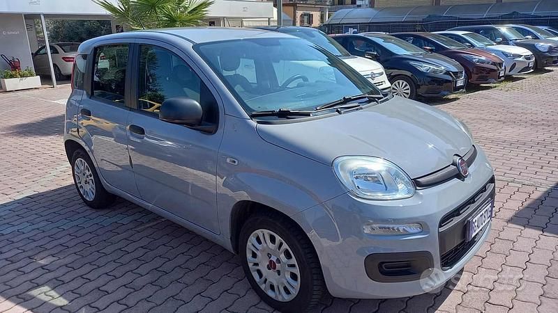 Usata Fiat Panda Easy 69 CV (50 kW) 2019 Grigio Utilitaria