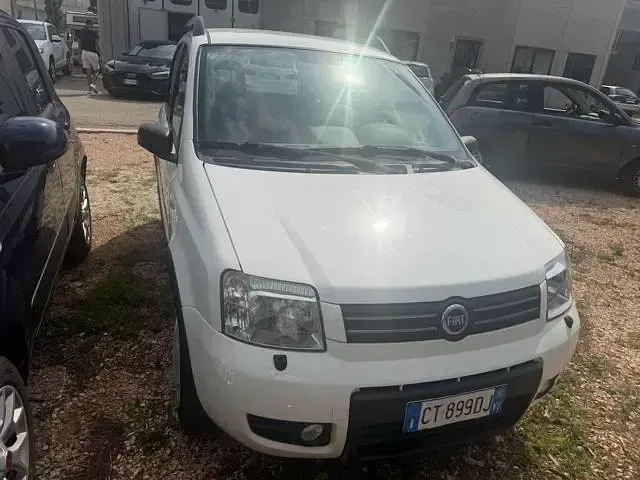 Usata Fiat Panda 4x4 Climbing 59 CV (43 kW) 2005 Bianco Utilitaria