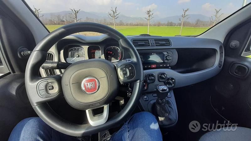 Usata Fiat Panda 69 CV (50 kW) 2019 Grigio Utilitaria