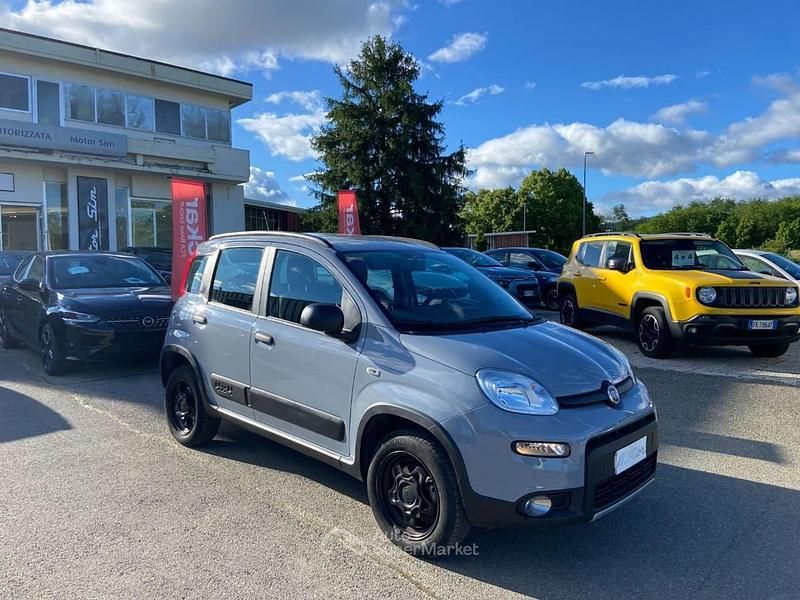 Usata Fiat Panda 4x4 Wild 84 CV (61 kW) 2021 Grigio Utilitaria