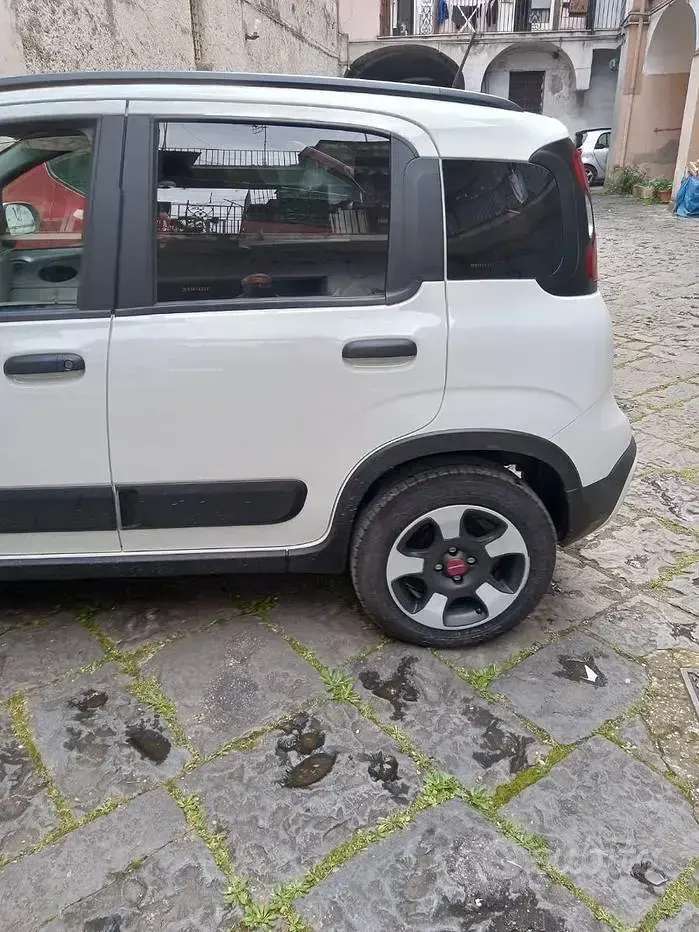 Usata Fiat Panda Cross Cross 69 CV (50 kW) 2024 Bianco Utilitaria