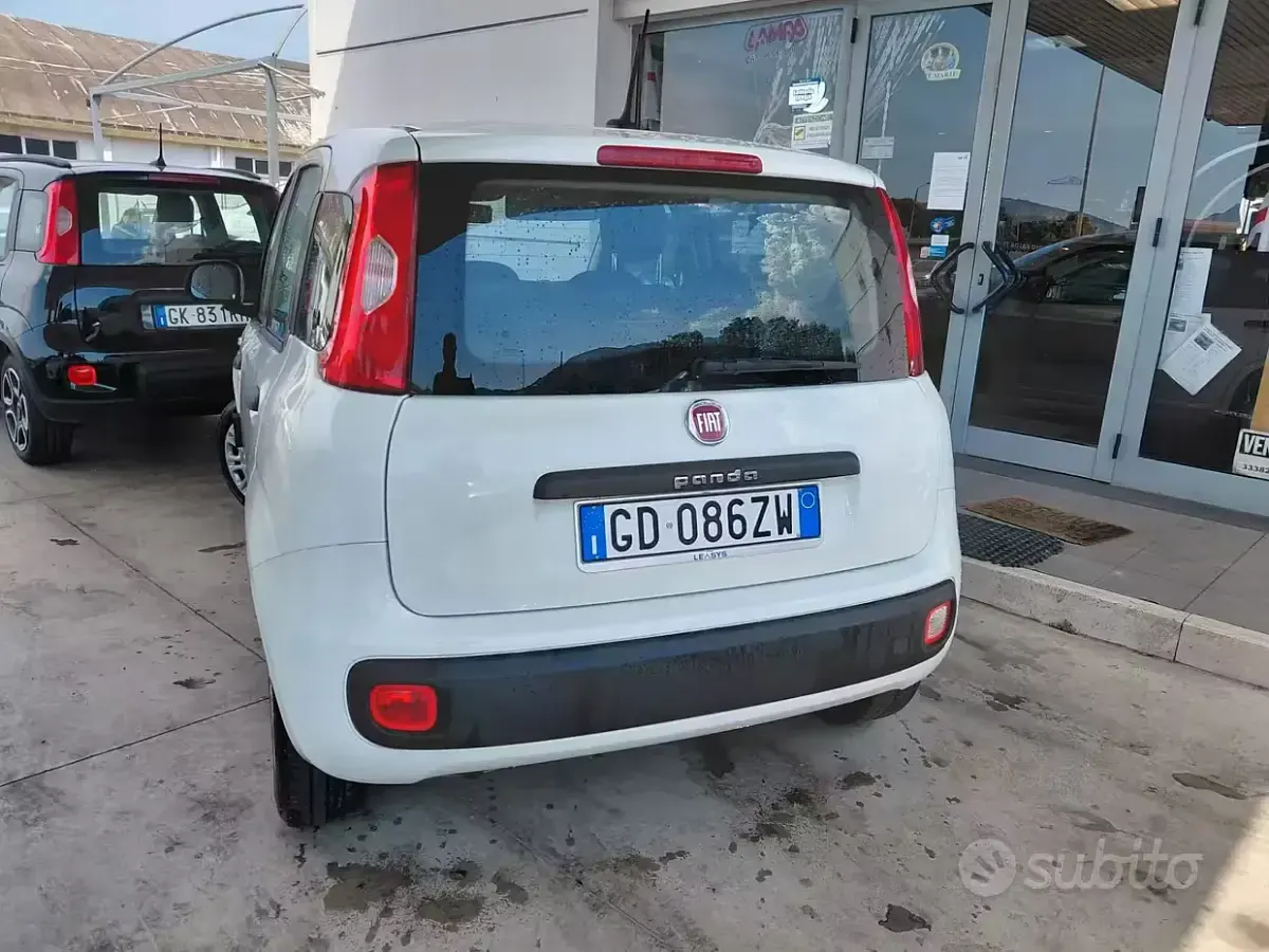 Usata Fiat Panda Easy 69 CV (50 kW) 2020 Bianco Utilitaria