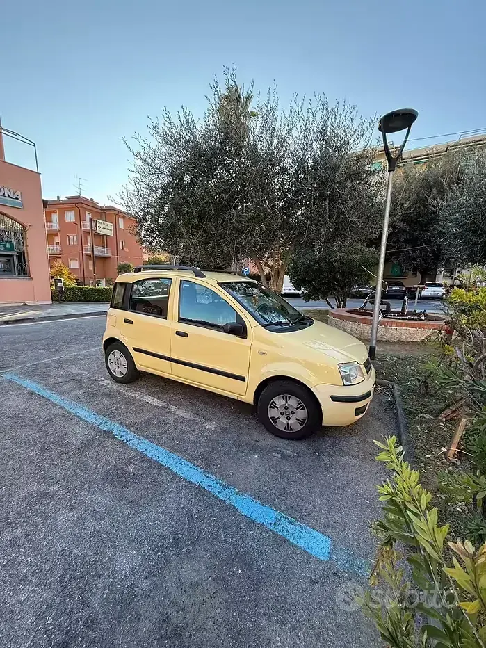 Usata Fiat Panda 60 CV (44 kW) 2007 Giallo Utilitaria