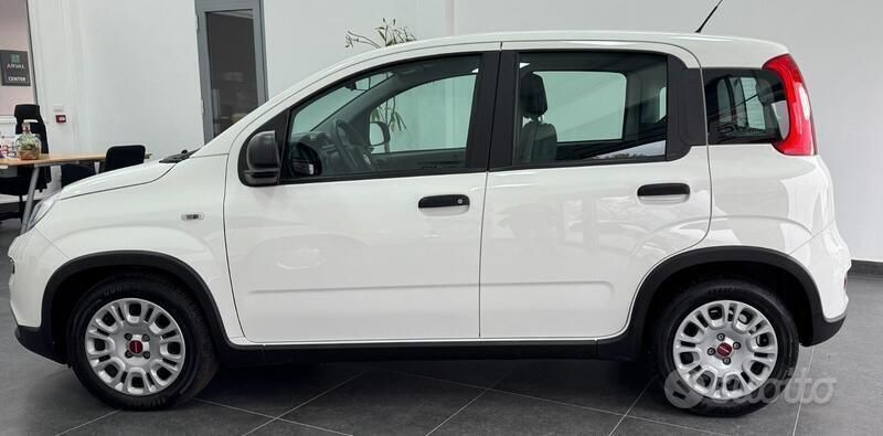 Usata Fiat Panda S 70 CV (51 kW) 2023 Bianco Utilitaria