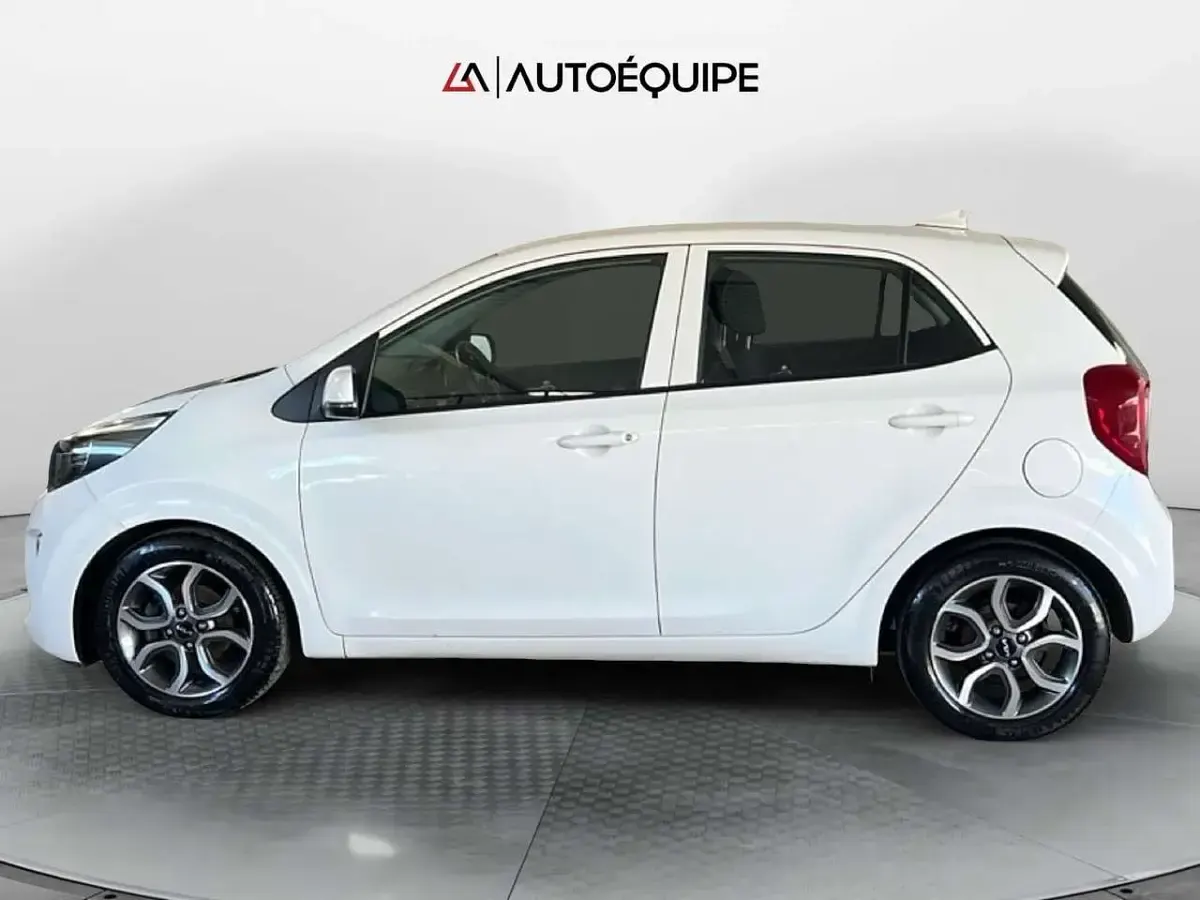 Usata Kia Picanto Style 65 CV (47 kW) 2023 Bianco Utilitaria