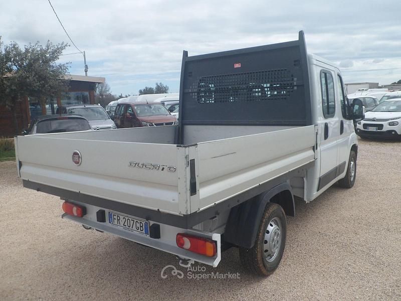 Occasion Fiat Ducato 116 ch (85 kW) 2019 Blanc Van