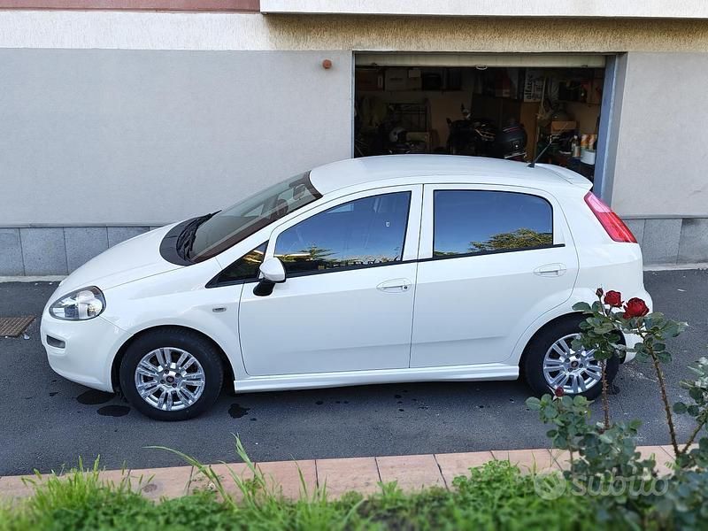 Usata Fiat Punto Lounge 85 CV (62 kW) 2015 Bianco Utilitaria