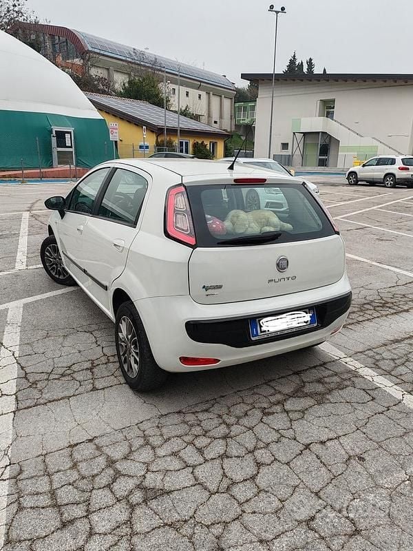 Usata Fiat Punto Evo Life 69 CV (50 kW) 2011 Bianco Utilitaria
