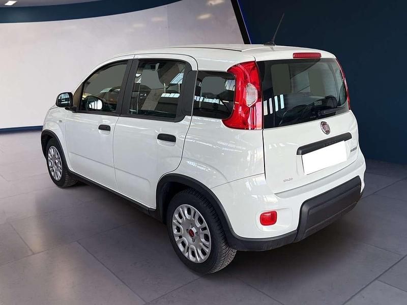 Usata Fiat Panda S 69 CV (50 kW) 2023 Bianco Utilitaria
