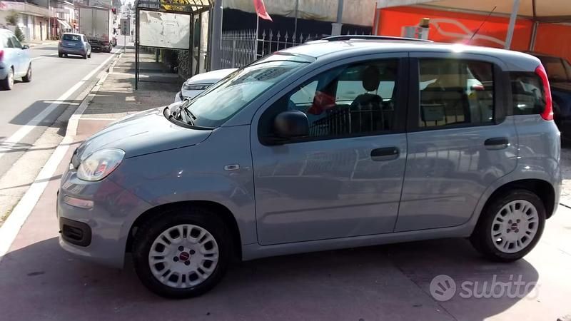Usata Fiat Panda Easy 70 CV (51 kW) 2018 Grigio Utilitaria