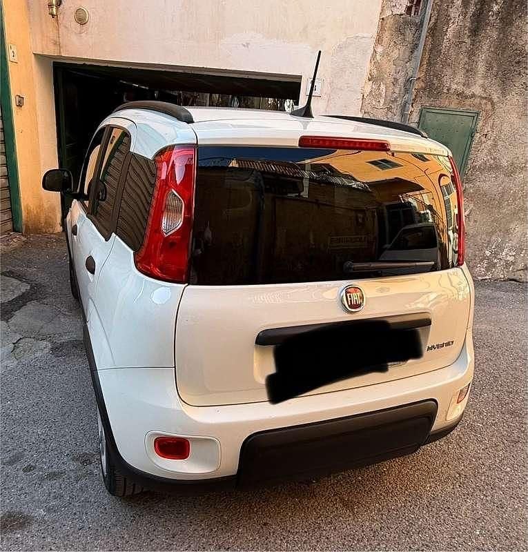 Usata Fiat Panda S 69 CV (50 kW) 2023 Utilitaria