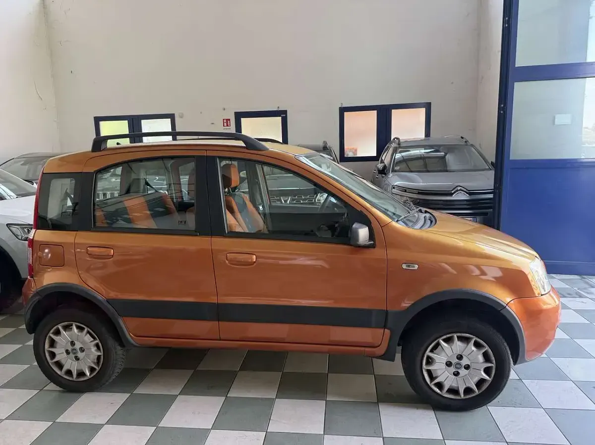 Usata Fiat Panda 4x4 Climbing 60 CV (44 kW) 2007 Bronzo Utilitaria