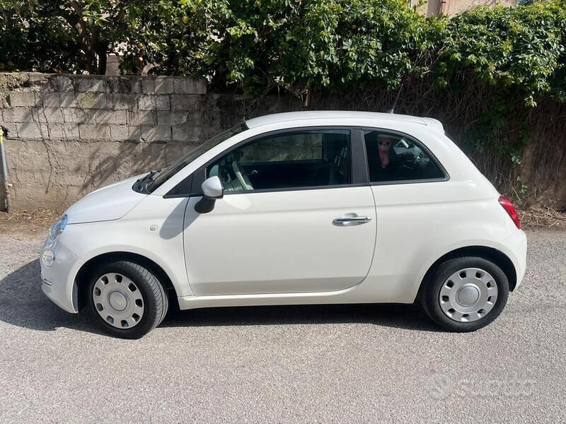 Usata Fiat 500 Pop 69 CV (50 kW) 2017 Bianco Utilitaria