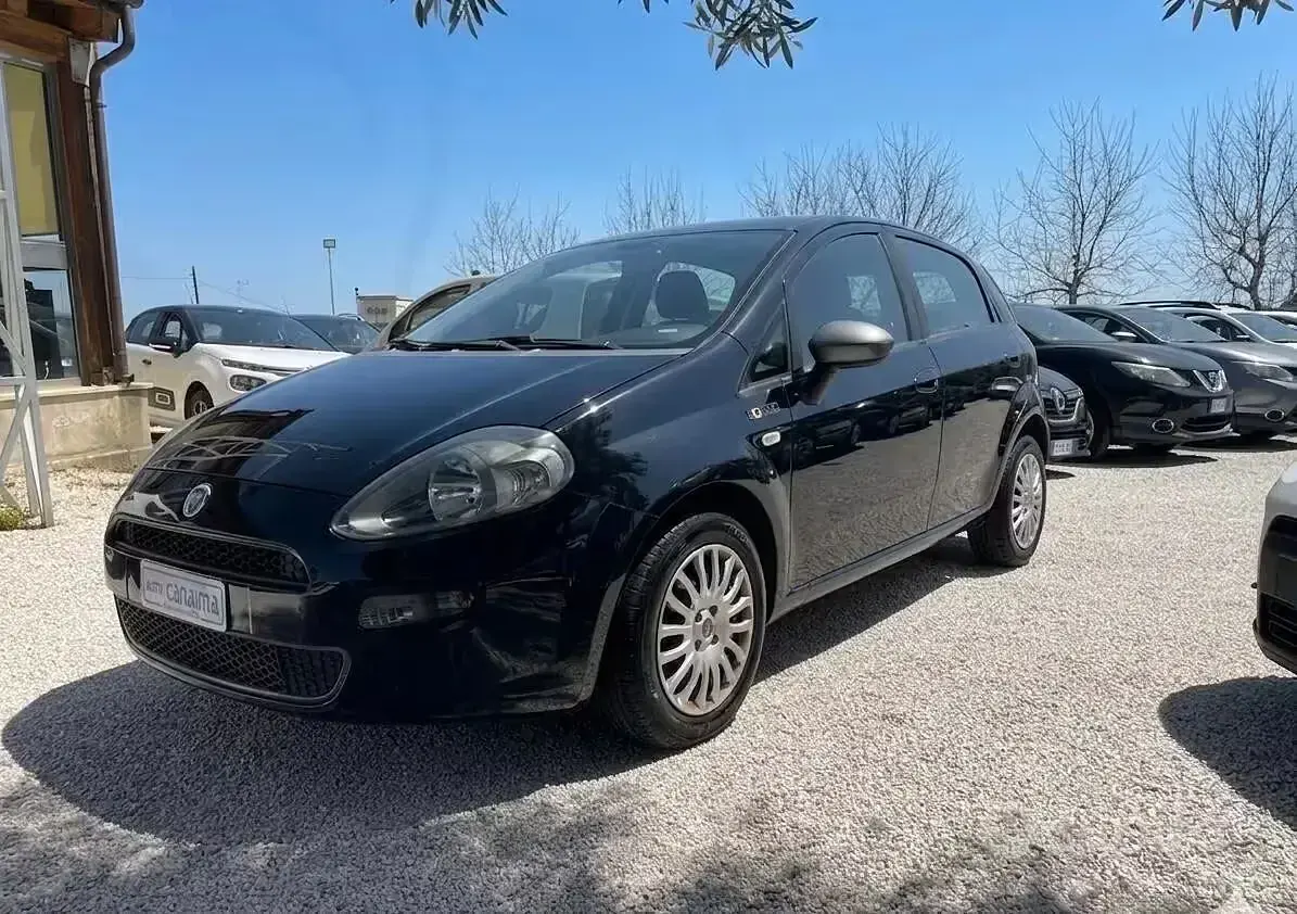 Usata Fiat Punto Evo 77 CV (56 kW) 2015 Bluazzurro Utilitaria