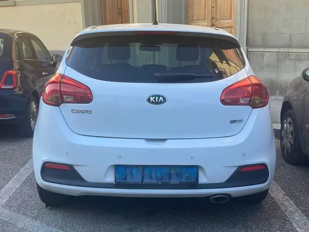 Usata Kia Ceed Active 98 CV (72 kW) 2014 Bianco Utilitaria